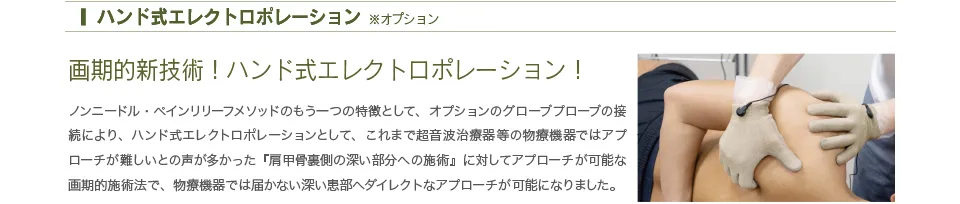 ハンド式エレクトロポレーション